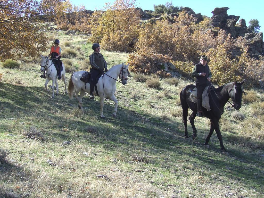 Hotel Juan Francisco Guejar Sierra Eksteriør bilde