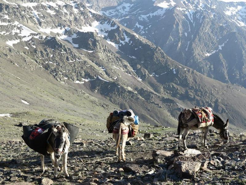 Hotel Juan Francisco Guejar Sierra Eksteriør bilde